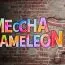 MECCHA CHAMELEON System Requirements